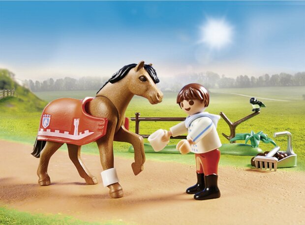 PLAYMOBIL Country Verzamelpony &#039;Connemara&#039; - 70516